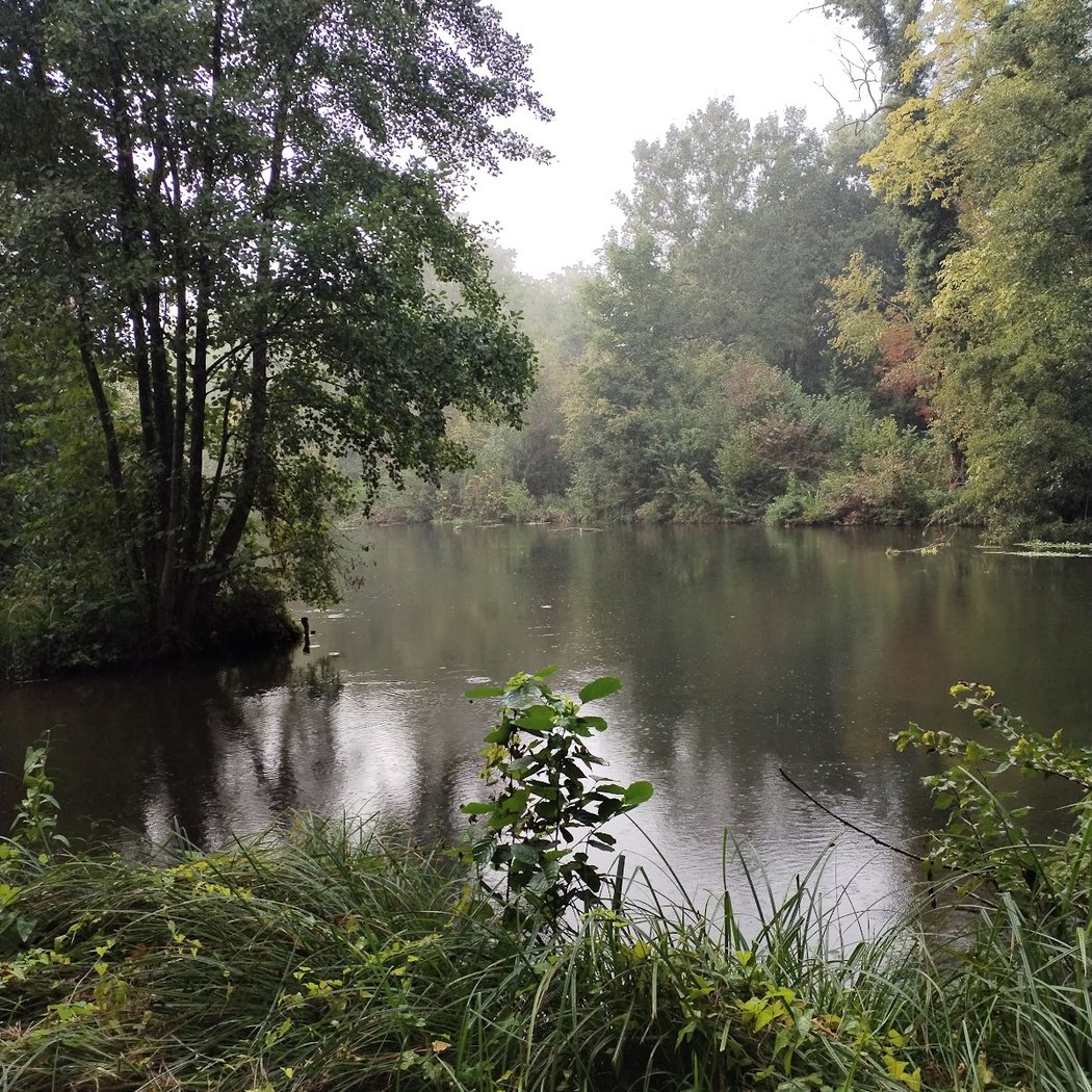 Marais de la Grande-Ile 2